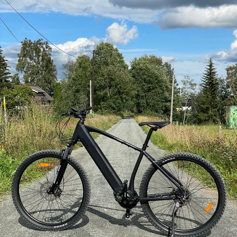 Gavia Forzo E-MTB terrengsykkel large