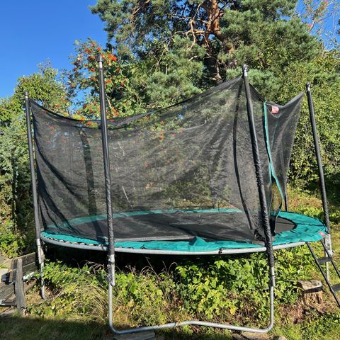 Berg Favoritt Trampoline 4,3 m