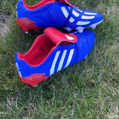 Adidas predator academy