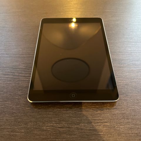 iPad Mini 2