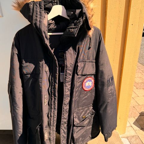 Canada Goose