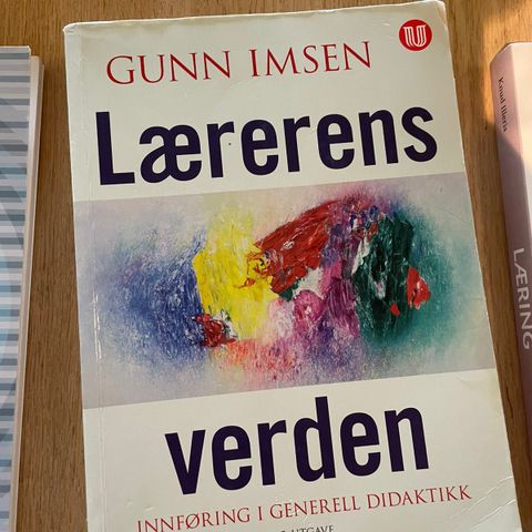 Lærerens verden