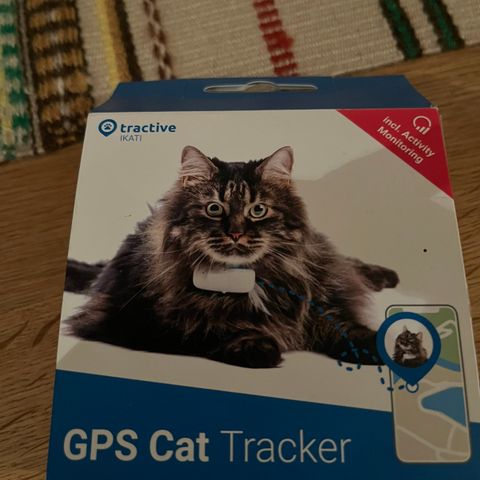 GPS til katt