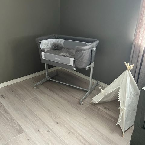 Bedside Crib