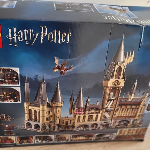 Harry potter galtvort Lego