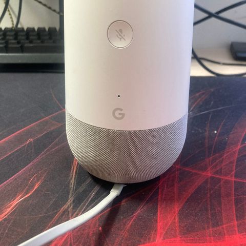 Google home