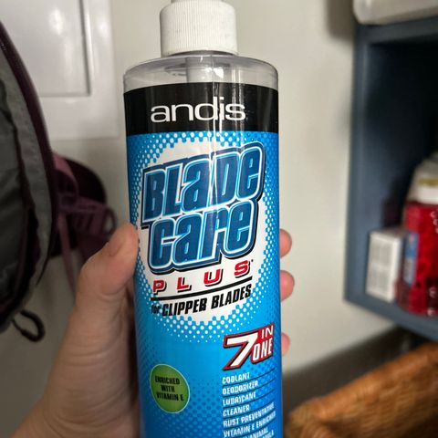 Andis blade care