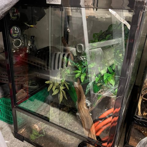 Terrarium