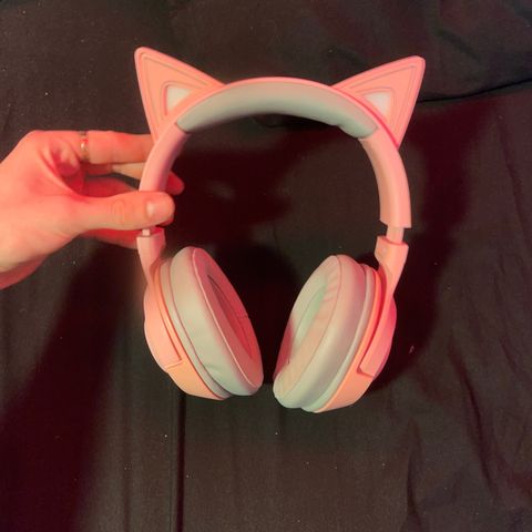 Rosa Razer kitty headset