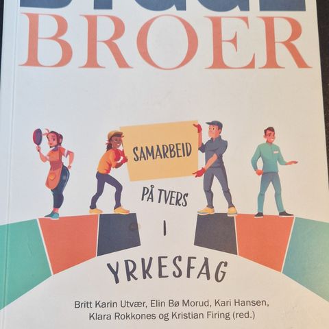 Å bygge broer. Samarbeid på tvers i yrkesfag