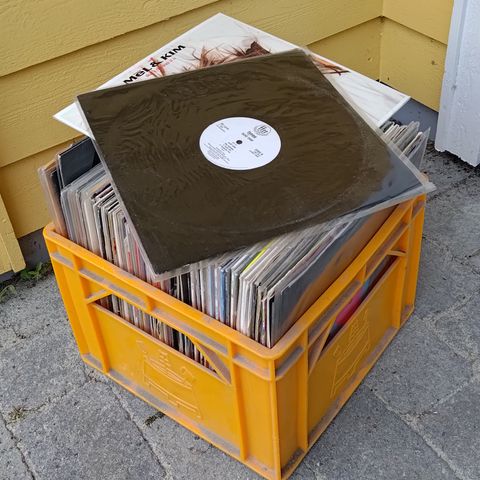 Ca 100 house-skiver, 12"