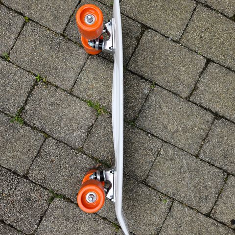 Mini Skateboard