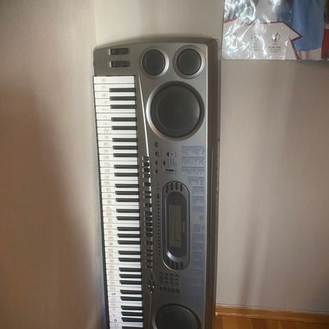 Casio Keyboard