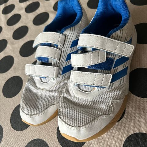 Adidas gymsko/innesko str 38