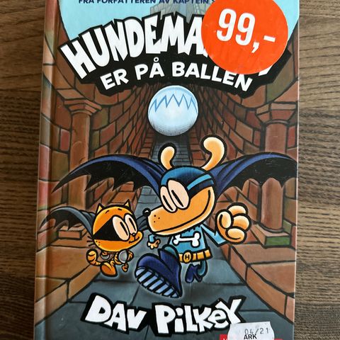 Hundemannen er på ballen