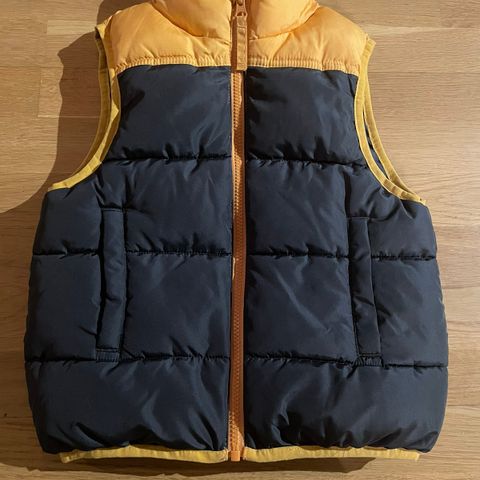 Vest