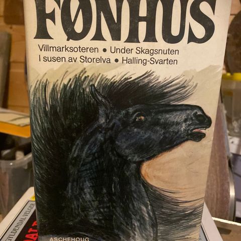 Annonsebilde