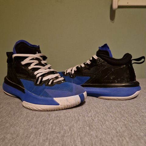 Nike Jordan zion 1