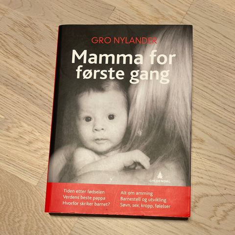 Gro Nylander - Mamma for første gang