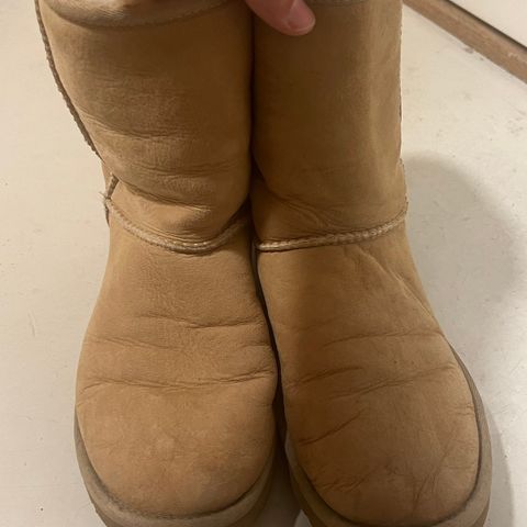 Ugg 38