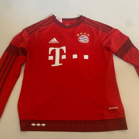 Bayern munich