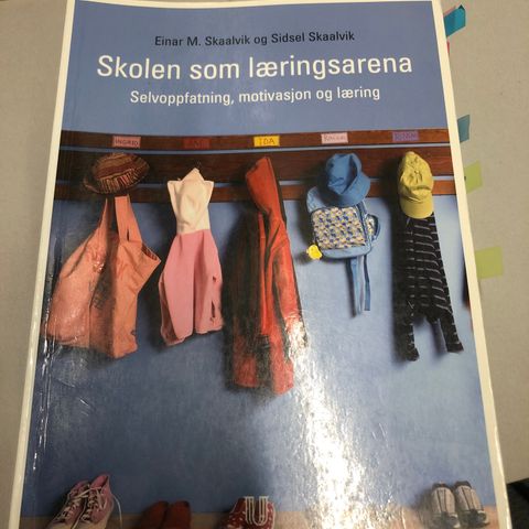 Skolen som læringsarena