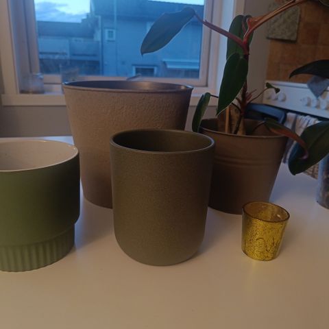 Potter til planter/blomster