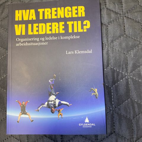 Som ny: «Hva trenger vi ledere til?»