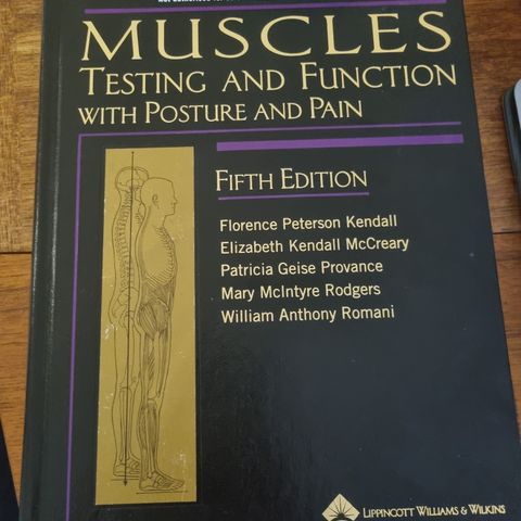 Muscles testing and function with posture and pain