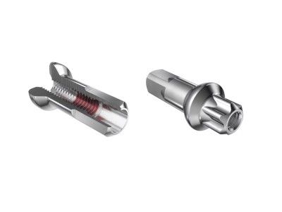 DT Swiss Squorx Pro Head aluminium eikenipler