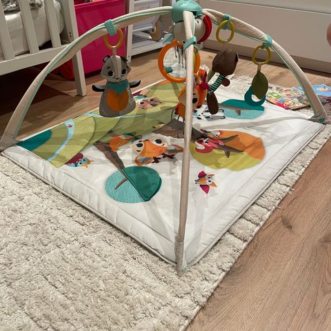 Babygym Tiny Love Gymini Deluxe