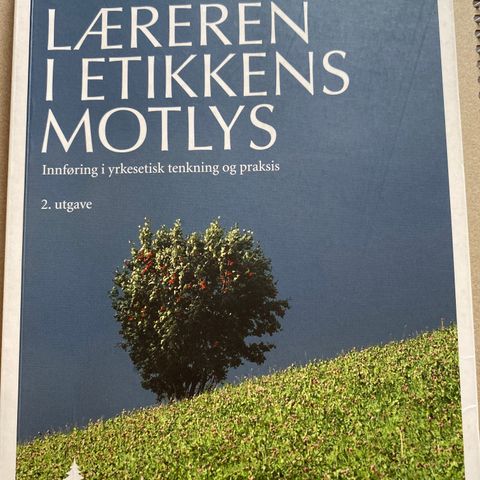 Læreren i etikkens motlys