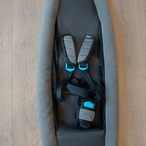 Thule Chariot infant sling