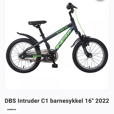 DBS Intruder 16’’