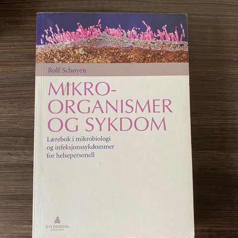 Mikroorganismer og sykdom