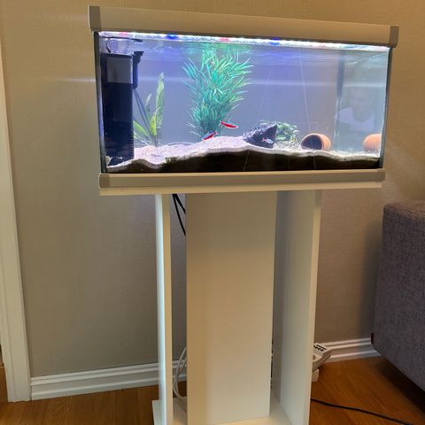 Aquastabil Family 54 liter