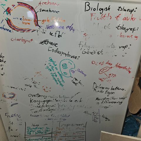 Magnetisk whiteboard