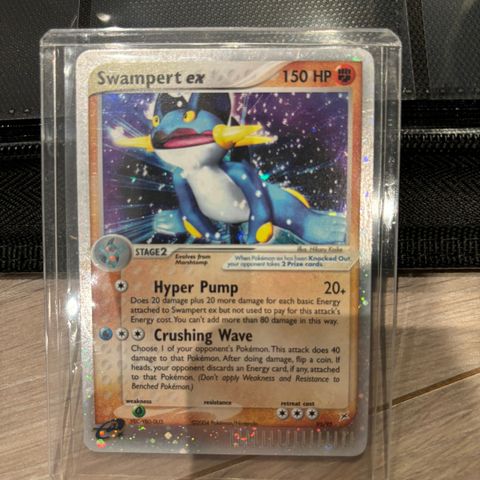 Swampert EX