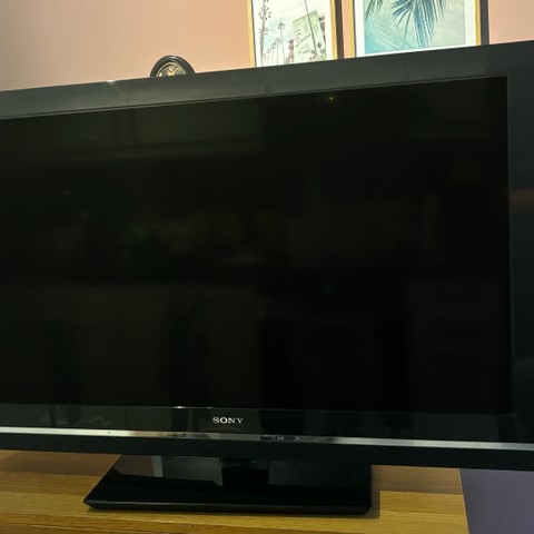 SONY Bravie 40" LCD TV