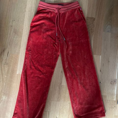 Lexington Velour pants