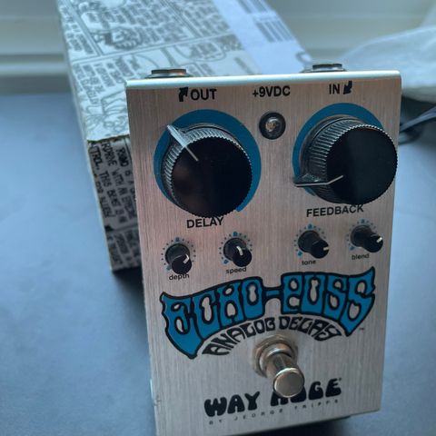 Way Huge Echo-Puss Analog Delay