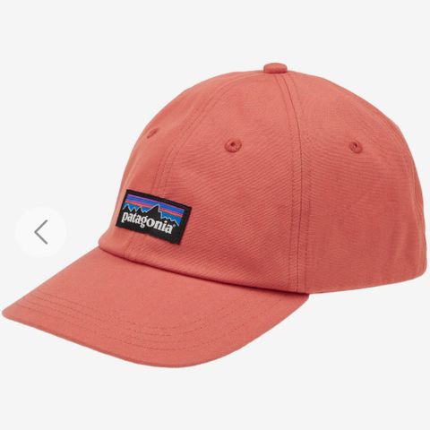 Patagonia caps