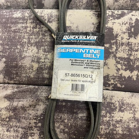 57-865615Q12 Quicksilver BELT-SERPENTINE Flatreim 2266 mm