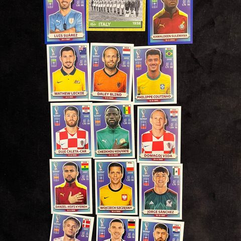 Panini World Cup 2022