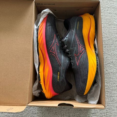 Mizuno Wave Rider 27 str 43