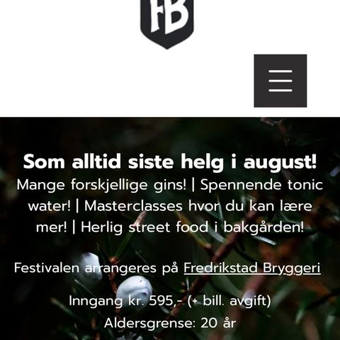 Fredrikstad ginfestival