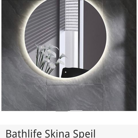 Speil Bathlife Skina