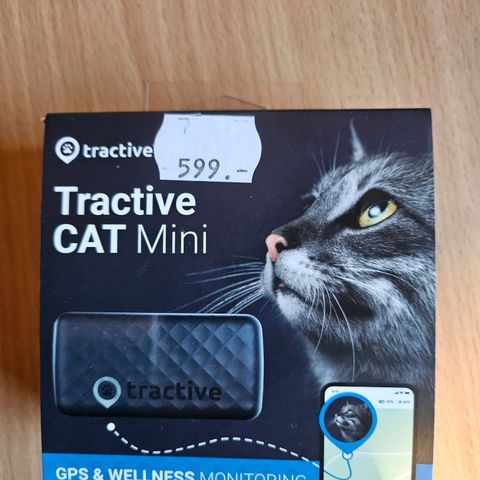 GPS tracker for katter