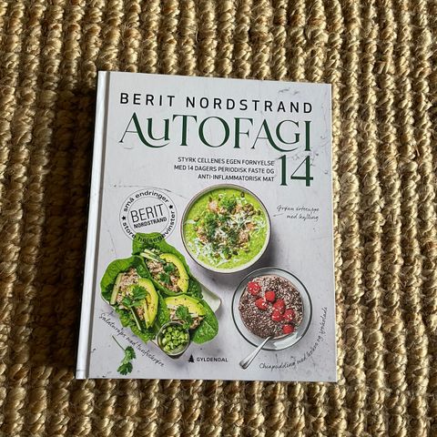 Autofagi 14 - Berit Nordstrand