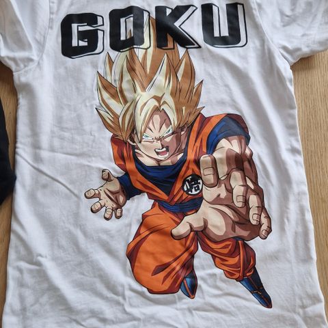 Dragon ball hettegenser og t-shirt